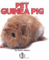 Pet_guinea_pig