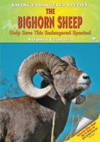 The_bighorn_sheep