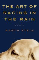 The_art_of_racing_in_the_rain