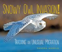 Snowy_owl_invasion_
