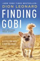 Finding_Gobi