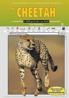 The_cheetah