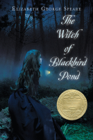 The_Witch_of_Blackbird_Pond