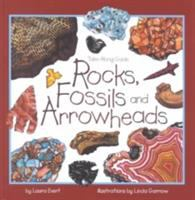 Rocks__fossils_and_arrowheads