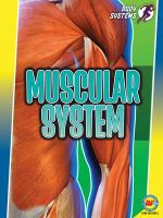Muscular_system