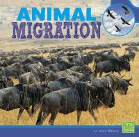 Animal_migration