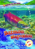 Salmon_migration