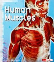 Human_muscles
