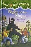 Night_of_the_Ninjas