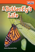 A_Butterfly_s_Life