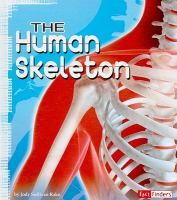 The_human_skeleton