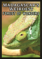 Madagascar_s_Weirdest__Forests_of_Wonders