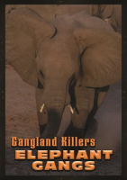 Gangland_Killers__Elephant_Gangs